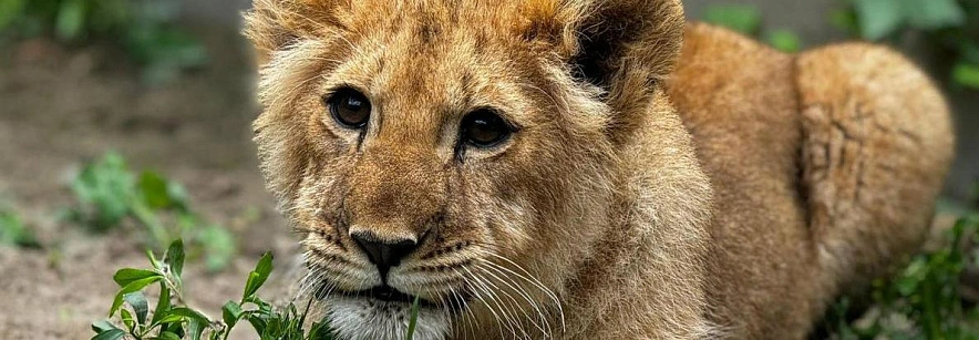 Фото: Росприроднадзор