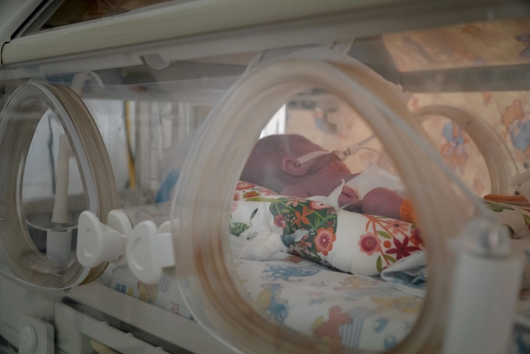 Фото: Андрей Закоморный