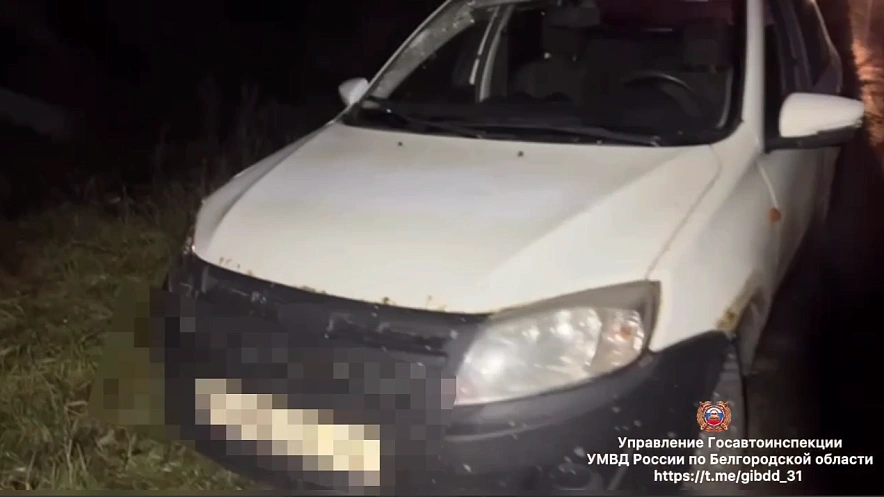 Фото: пресс-служба Госавтоинспекции Белгородской области
