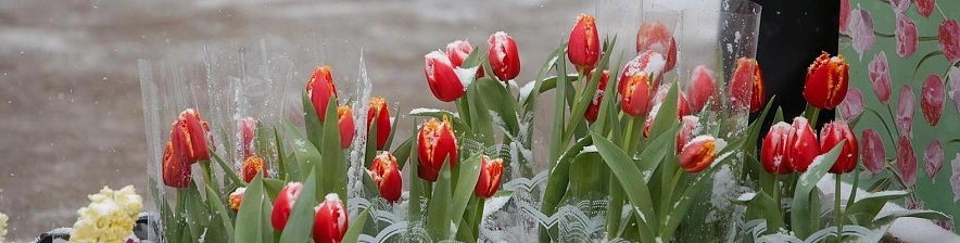 Фото: Евгений Флур