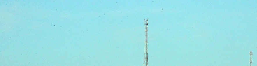 Фото: Сергей Егоров