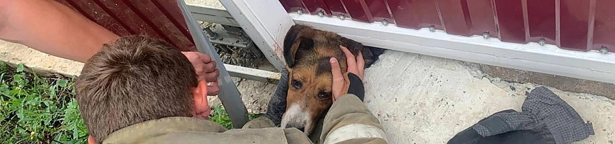 Фото: МЧС Белгородской области