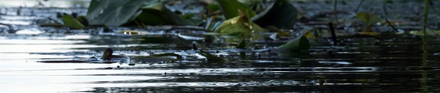 Фото: Сергей Егоров