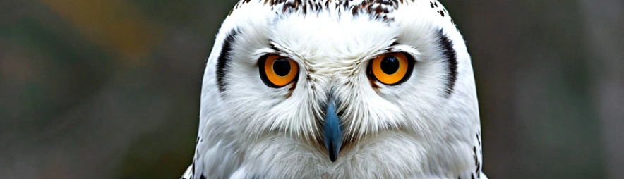 Фото: Шедеврум