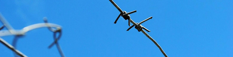 Фото: Оксана Булгакова