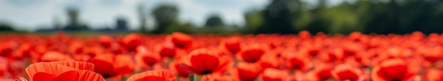 Фото: Шедеврум