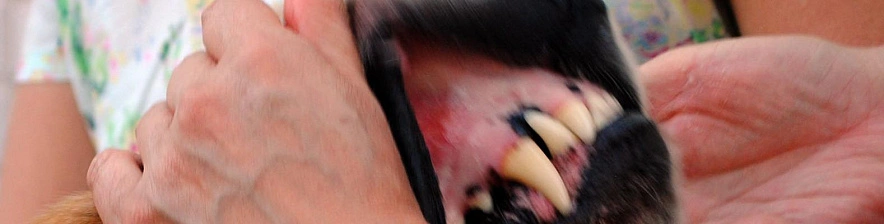 Фото: Сергей Егоров