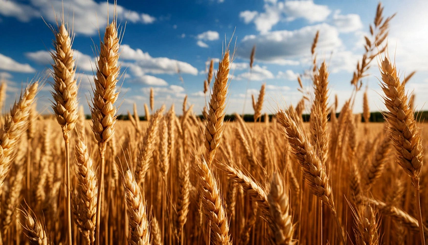 Фото: Шедеврум