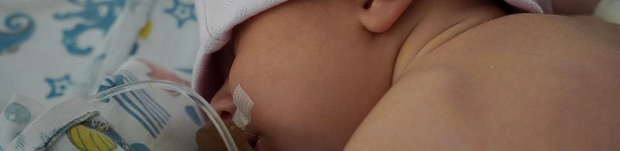 Фото: Андрей Закоморный