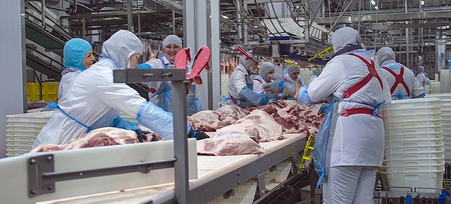 Фото: пресс-служба Мираторга