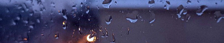 Фото: Дарья Егорова