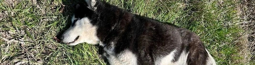 Фото: комментарии со страницы Вячеслава Гладкова