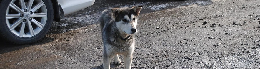 Фото: Анна Григор