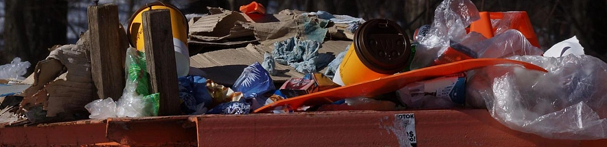 Фото: Сергей Егоров