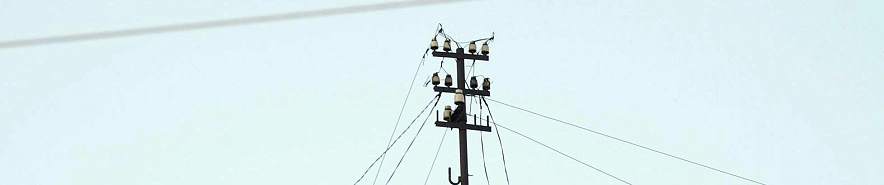 Фото: Сергей Егоров