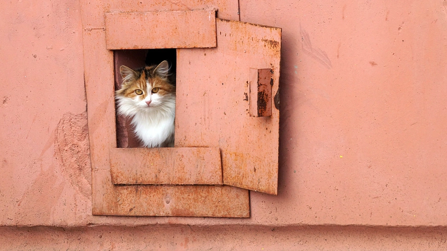 Фото: Сергей Егоров