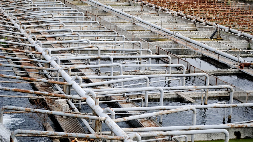 Фото: Сергей Кудрин