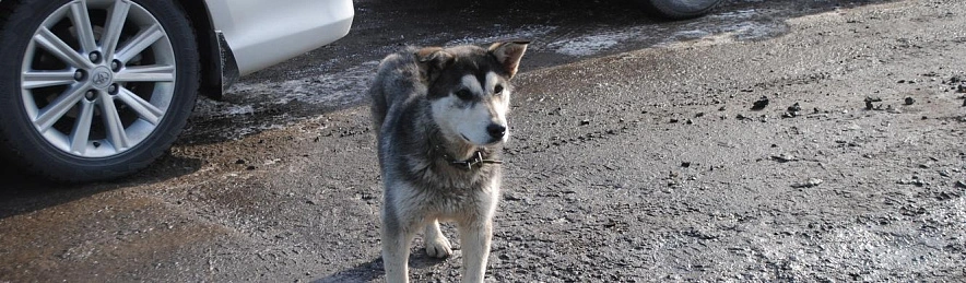 Фото: Анна Григор