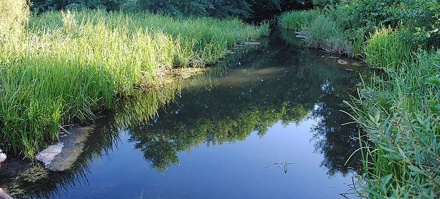 Фото: Сергей Егоров