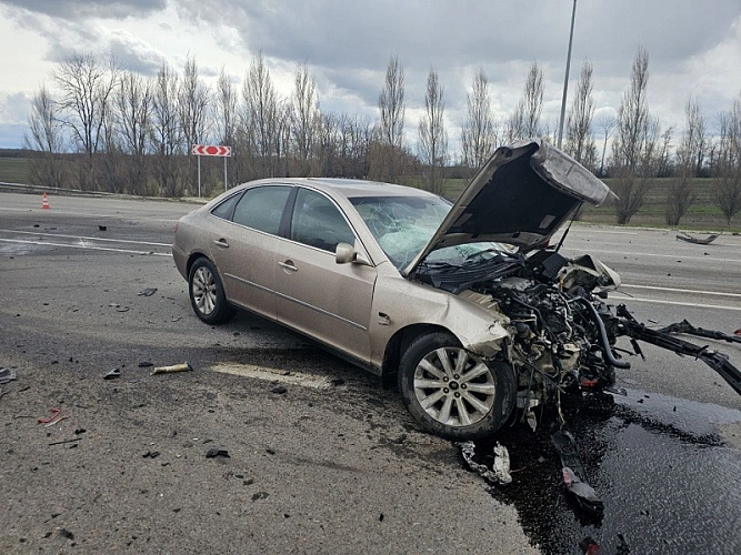 Фото: пресс-служба УМВД по Белгородской области