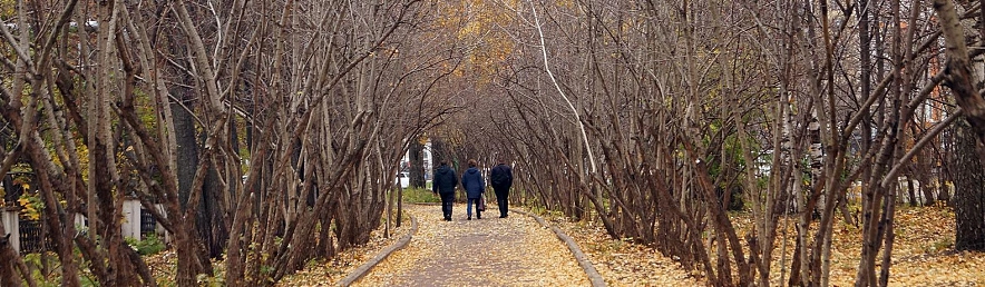 Фото: Сергей Егоров 