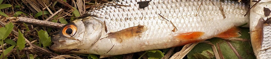 Фото: Сергей Егоров