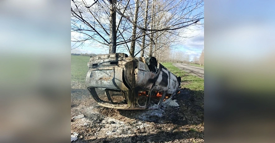 Фото: пресс-служба правительства Белгородской области