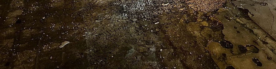 Фото: Анна Григор