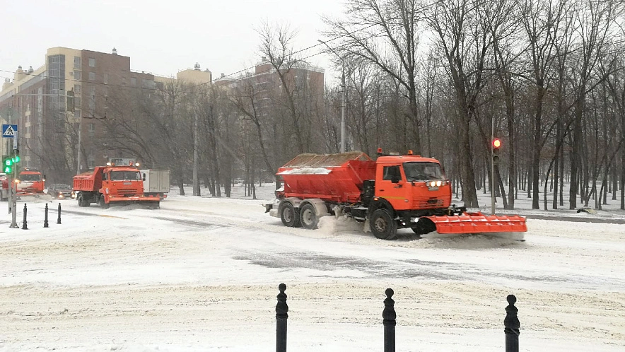 Фото: Сергей Кудрин