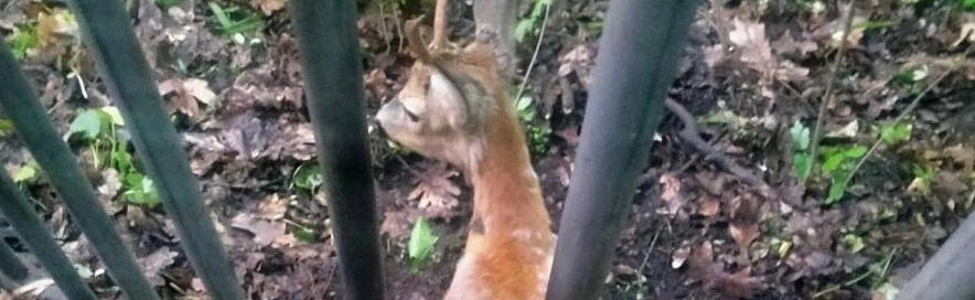 Фото: мэрия Белгорода