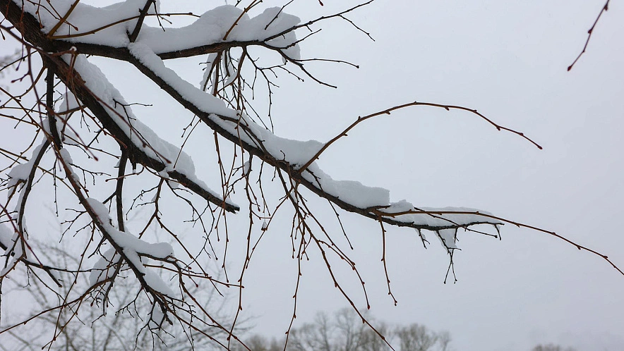 Фото: Антон Вергун