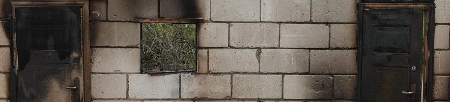 Фото: Антон Вергун