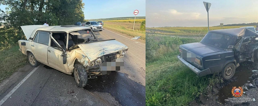 Фото: Госавтоинспекция Белгородской области