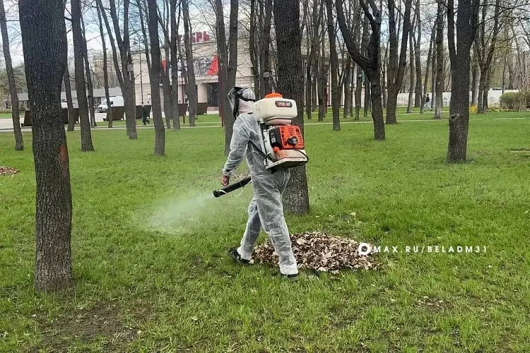 Фото: пресс-служба администрации Белгорода