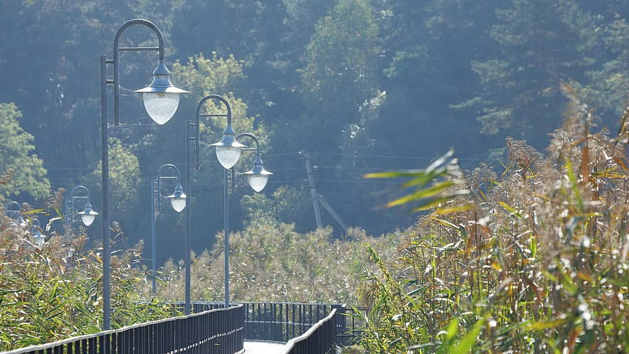 Фото: Антон Вергун