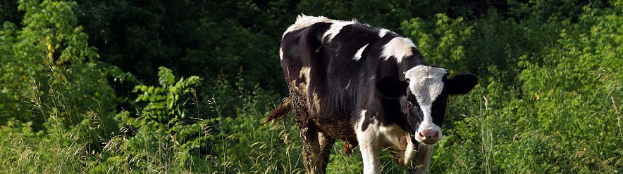 Фото: Сергей Егоров