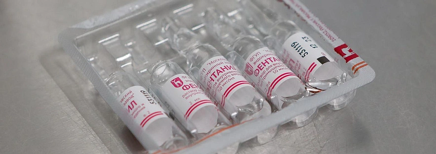 Фото: Антон Вергун