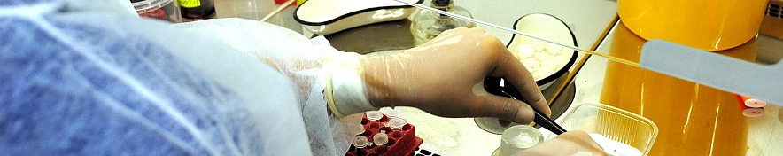 Фото: Сергей Егоров 