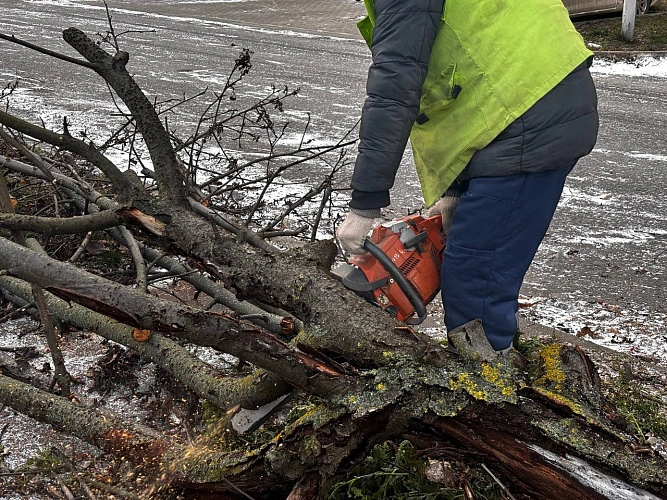 Фото: телеграм-канал «Уютный Белгород»