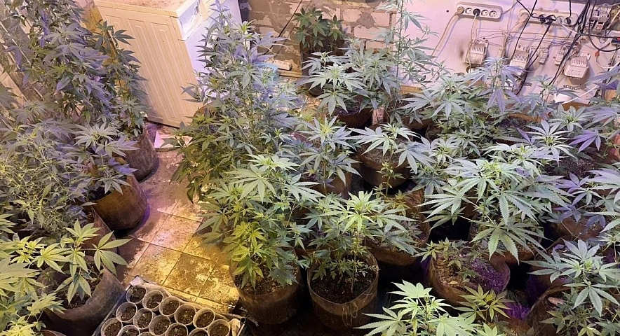 Фото: пресс-служба УМВД по Белгородской области