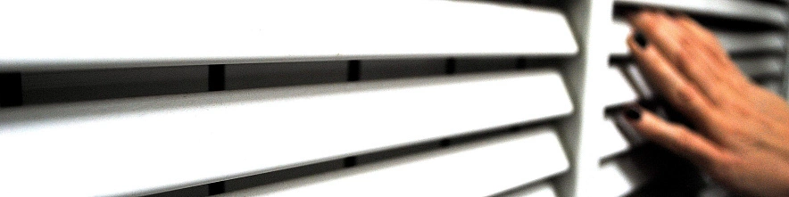 Фото: Сергей Егоров 