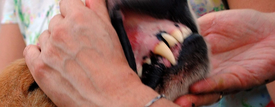 Фото: Сергей Егоров