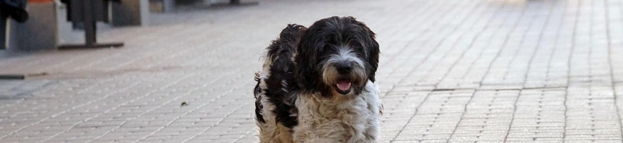 Фото: Сергей Егоров 