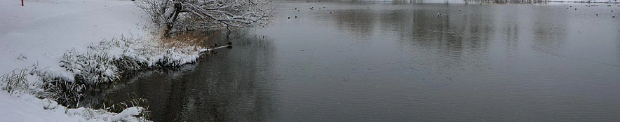 Фото: Антон Вергун