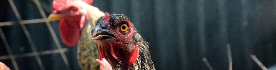 Фото: Сергей Егоров