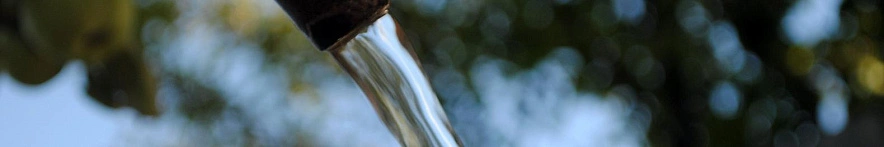 Фото: Сергей Егоров 