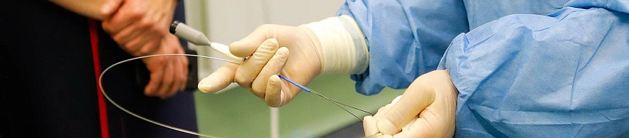 Фото: Антон Вергун