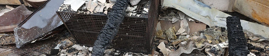 Фото: Антон Вергун