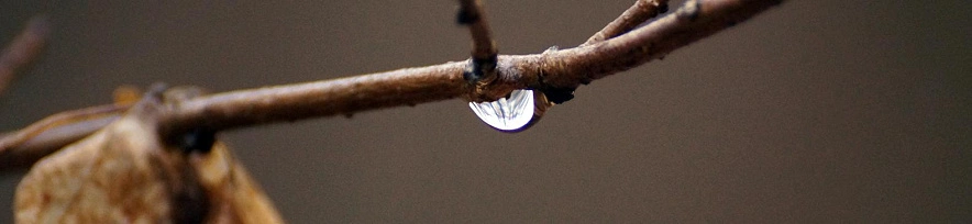 Фото: Сергей Егоров