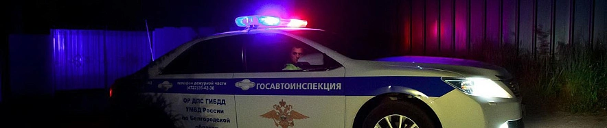 Фото: Антон Вергун